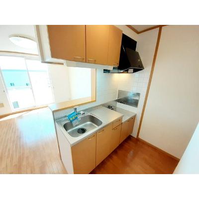 クリスマスローズ 201【管理NO：1-012133801-02010】 ★家具家電は申し込み後に搬入します★の物件画像