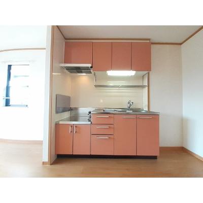 マーベラス・コートＳ　Ｄ 205【管理NO：1-013387004-02040】 ★家具家電は申し込み後に搬入しますの物件画像