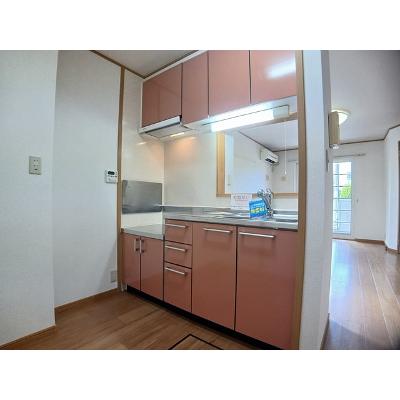 セイバリーライフ 102【管理NO：1-013245701-01020】 ★家具家電は申し込み後に搬入します★の物件画像