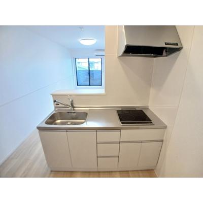 ロータス水巻２ 207【管理NO：1-028273702-02070】 ★家具家電は申し込み後に搬入します★の物件画像
