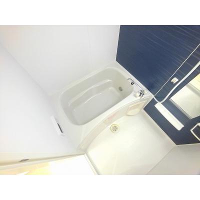 メゾンＡＳＡ 206【管理NO：1-018771501-02050】 ★家具家電は申し込み後に搬入します★ ★2026年08月下旬入居可能★の物件画像