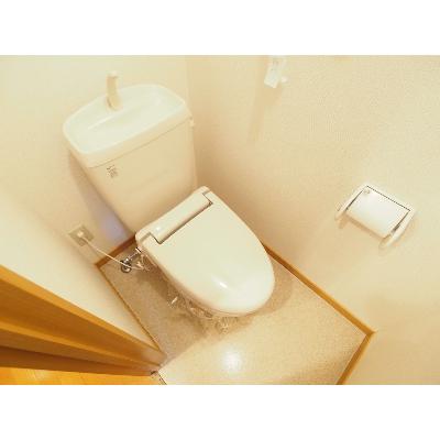 グランド・コスモ 808【管理NO：1-013784901-08070】 ★家具家電は申し込み後に搬入します 2026年07月下旬入居可能の物件画像