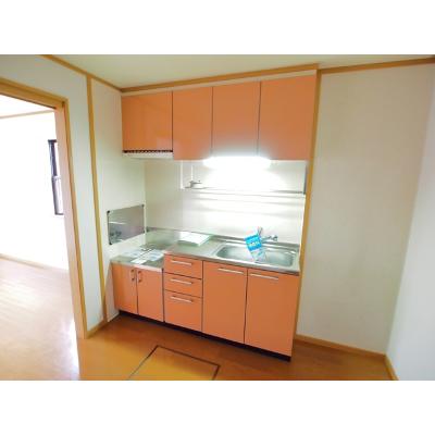 スリーワンスリーヒルズＦ 101【管理NO：1-012844903-01010】 ★家具家電は申し込み後に搬入します 2026年07月中旬入居可能の物件画像