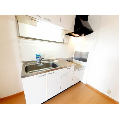 パレスヴィラＣ 202【管理NO：1-014643703-02020】 ★家具家電は申し込み後に搬入します★の物件画像