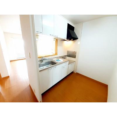 サンクレメントＣ 203【管理NO：1-013521203-02030】 ★家具家電は申し込み後に搬入します★の物件画像