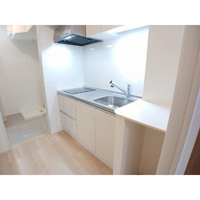 デュルセ大財 203【管理NO：1-028529401-02030】 ★家具家電は申し込み後に搬入します★の物件画像
