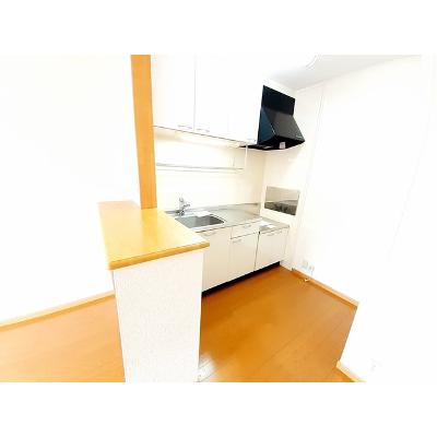メゾン・ド・シエル弐番館 204【管理NO：1-013698602-02040】 ★家具家電は申し込み後に搬入します★の物件画像
