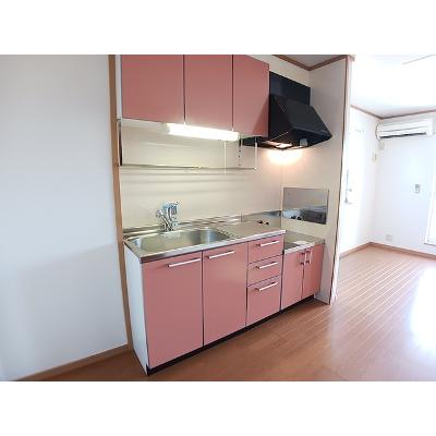 ブルーベリー・ガーデンＢ 203【管理NO：1-013391402-02030】 ★家具家電は申し込み後に搬入します★の物件画像