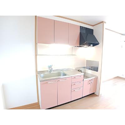 ブルーベリー・ガーデンＡ 202【管理NO：1-013391401-02020】 ★家具家電は申し込み後に搬入します★の物件画像