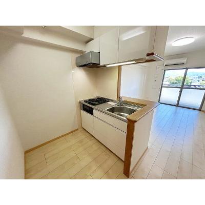 ルイシャトレ鏡 305【管理NO：1-018759501-03050】 ★家具家電は申し込み後に搬入しますの物件画像