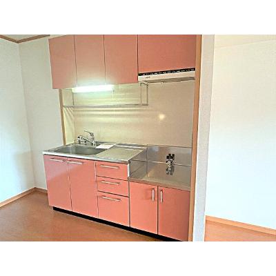 ラフィーネⅡ 202【管理NO：1-013363401-02020】 ★家具家電は申し込み後に搬入します★の物件画像