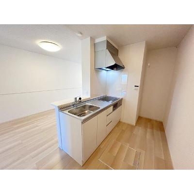 ポライトリー和　Ⅱ 103【管理NO：1-028087202-01030】 ★家具家電は申し込み後に搬入しますの物件画像
