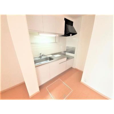 サリーチェⅡ 103【管理NO：1-016283802-01030】 ★家具家電は申し込み後に搬入しますの物件画像