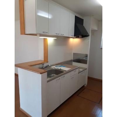 セブン・サンシャイン 102【管理NO：1-014473101-01020】 ★家具家電は申し込み後に搬入します 2026年08月中旬入居可能の物件画像