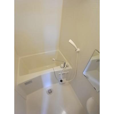 カーサセレッソ 203【管理NO：1-011698001-02030】 2026年07月下旬入居可能の物件画像