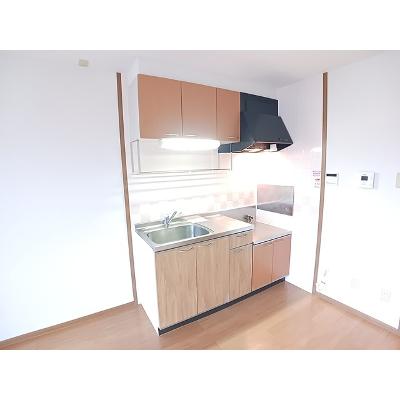 リバーサイド　アイ 203【管理NO：1-010219801-02030】 ★家具家電は申し込み後に搬入します★の物件画像
