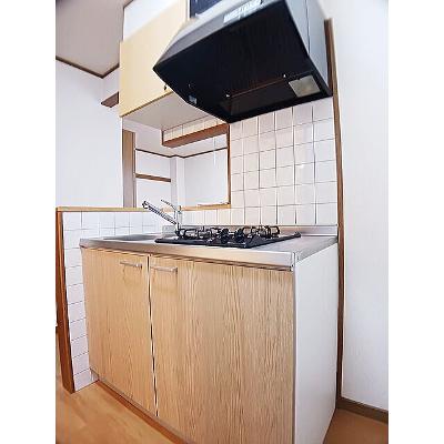 マーベラスＫⅡ 101【管理NO：1-011606501-01010】 ★家具家電は申し込み後に搬入します★の物件画像