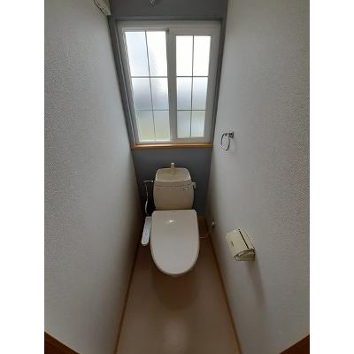 ハーバル２４ 203【管理NO：1-005579001-02030】 ★家具家電は申し込み後に搬入します★ ★2026年09月中旬入居可能★の物件画像