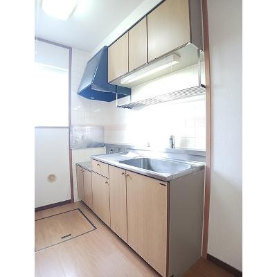 サファイアンエレガンスＡ 102【管理NO：1-007266901-01020】 ★家具家電は申し込み後に搬入します★の物件画像