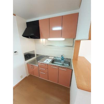 アビターレ吉井Ｂ 204【管理NO：1-012943302-02040】 ★家具家電は申し込み後に搬入しますの物件画像