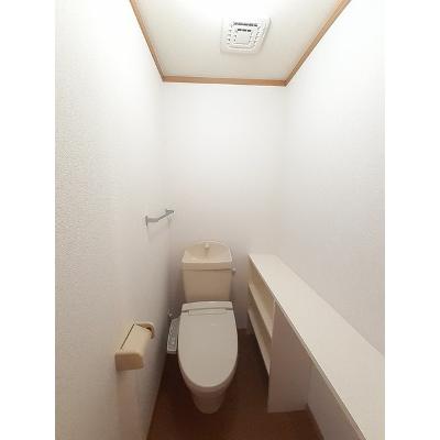 プロスパー六番館 203【管理NO：1-011905301-02030】 ★家具家電は申し込み後に搬入しますの物件画像