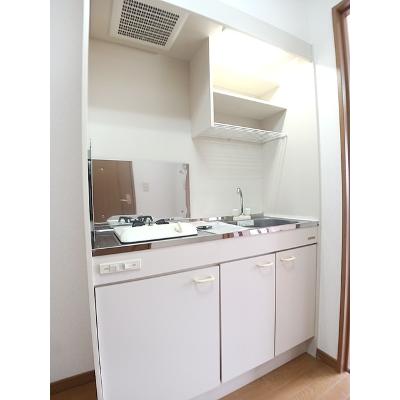 サマーパイン 203【管理NO：1-010947701-02030】 ★家具家電は申し込み後に搬入します★の物件画像