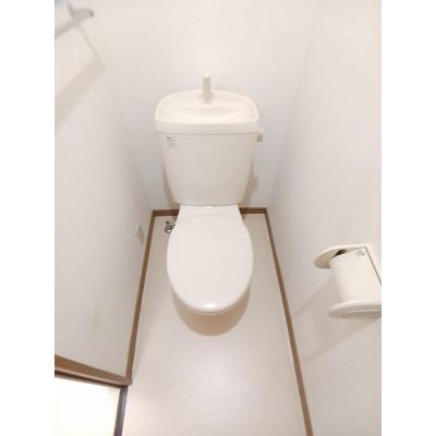 サマーパイン 202【管理NO：1-010947701-02020】 ★家具家電は申し込み後に搬入しますの物件画像