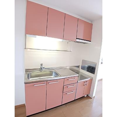 カロスアンセ弐番館 203【管理NO：1-013536202-02030】 ★家具家電は申し込み後に搬入します★の物件画像
