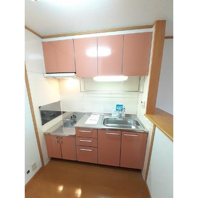 アルハンブラ一番館 202【管理NO：1-013005701-02020】 ★家具家電は申し込み後に搬入しますの物件画像