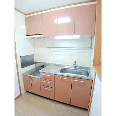 アルハンブラ一番館 201【管理NO：1-013005701-02010】 ★家具家電は申し込み後に搬入します★の物件画像