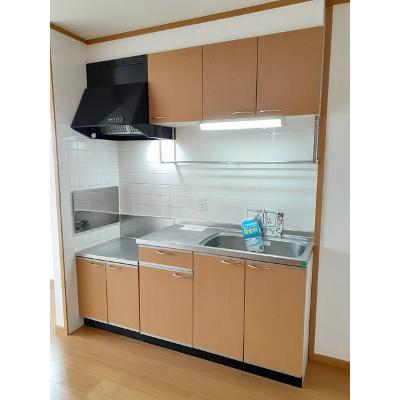 サニーレーン 203【管理NO：1-012016201-02030】 ★家具家電は申し込み後に搬入しますの物件画像