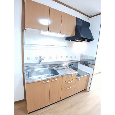 サン・ウィステリア 203【管理NO：1-011054201-02030】 ★家具家電は申し込み後に搬入しますの物件画像