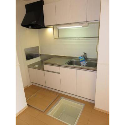 パストラル・パレス 102【管理NO：1-016839001-01020】 ★家具家電は申し込み後に搬入しますの物件画像
