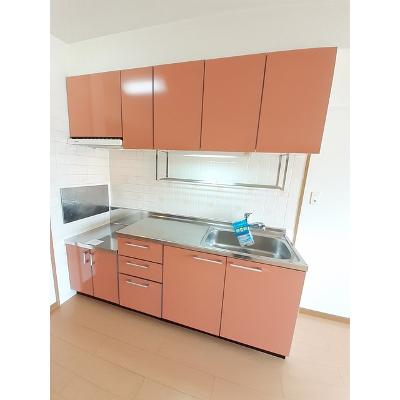 スターメゾン古国府 301【管理NO：1-012374401-03010】 ★家具家電は申し込み後に搬入します★の物件画像
