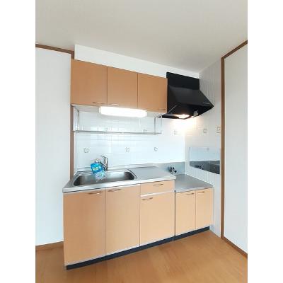 ラ・パルムドールⅠ 203【管理NO：1-011406801-02030】 ★家具家電は申し込み後に搬入します 2026年07月中旬入居可能の物件画像