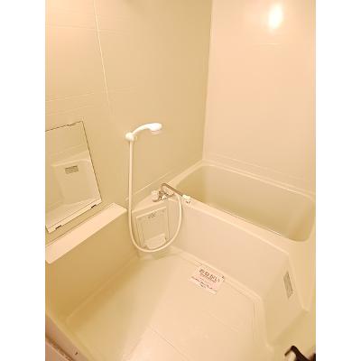 ザ・フォーレスト 203【管理NO：1-009500801-02030】 ★家具家電は申し込み後に搬入します★の物件画像