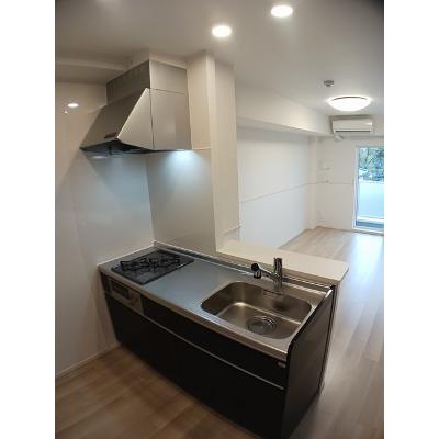 シャインエクセレント 303【管理NO：1-027304801-03030】 ★家具家電は申し込み後に搬入しますの物件画像
