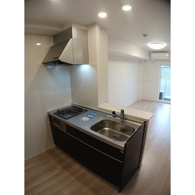 シャインエクセレント 302【管理NO：1-027304801-03020】 ★家具家電は申し込み後に搬入しますの物件画像