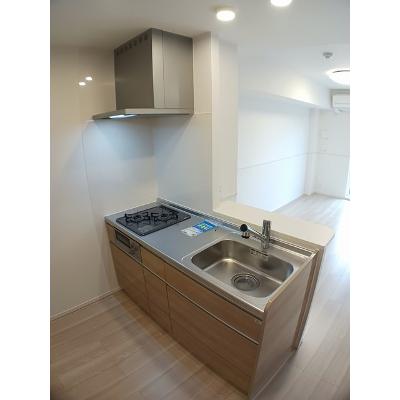 シャインエクセレント 203【管理NO：1-027304801-02030】 ★家具家電は申し込み後に搬入しますの物件画像