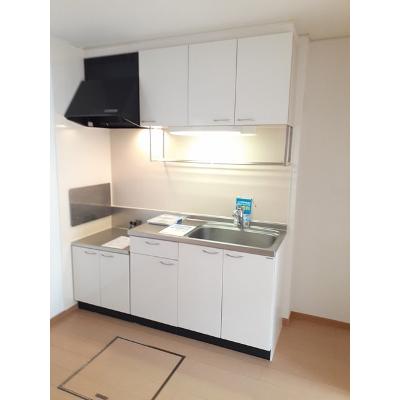 エヴァーグリーン・センター 102【管理NO：1-014676002-01020】 ★家具家電は申し込み後に搬入しますの物件画像