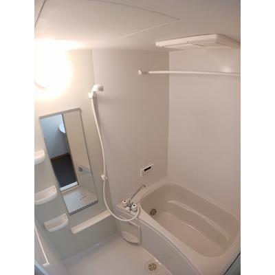フォーリストＭＳＮ 101【管理NO：1-013598501-01010】 ★家具家電は申し込み後に搬入します★の物件画像
