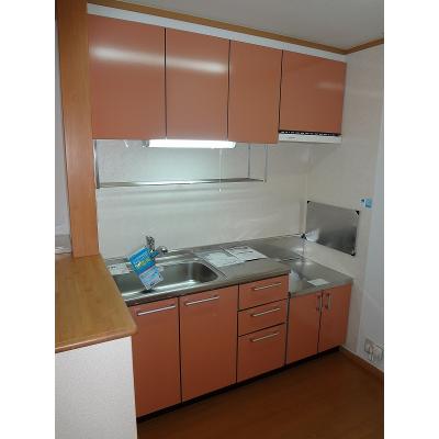 Ｎ＆ＹアベニューＤ 205【管理NO：1-012383204-02040】 ★家具家電は申し込み後に搬入しますの物件画像