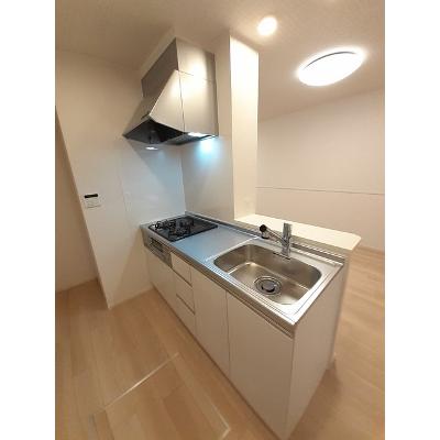 フルールデシャン　Ⅱ 102【管理NO：1-026904602-01020】 ★家具家電は申し込み後に搬入しますの物件画像