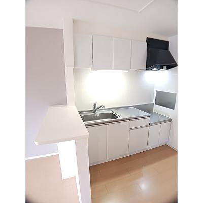 エバー　グリーン 202【管理NO：1-020454501-02020】 ★家具家電は申し込み後に搬入します 2026年07月中旬入居可能の物件画像