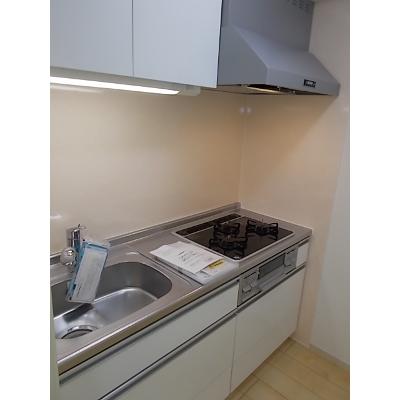 グランシャリオ 303【管理NO：1-018493801-03030】 ★家具家電は申し込み後に搬入します★の物件画像