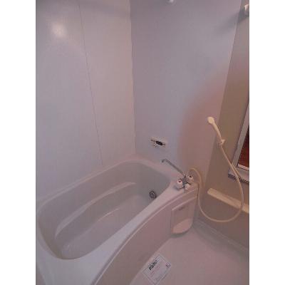 エルフィン 205【管理NO：1-014192101-02040】 ★家具家電は申し込み後に搬入しますの物件画像