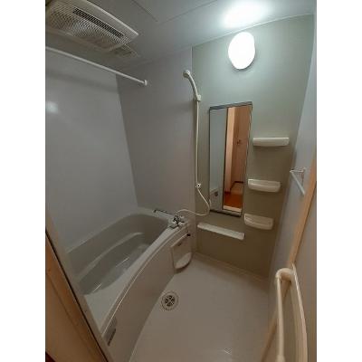 バンブーフォレスター 205【管理NO：1-013888101-02040】 ★家具家電は申し込み後に搬入しますの物件画像