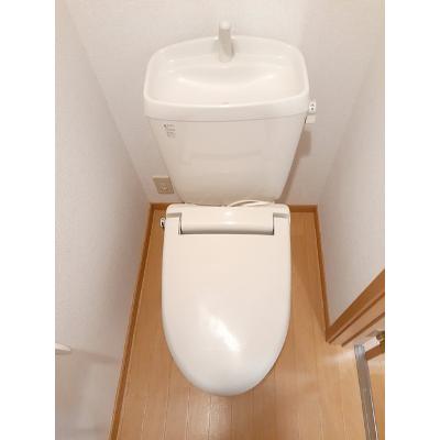 バンブーフォレスター 205【管理NO：1-013888101-02040】 ★家具家電は申し込み後に搬入しますの物件画像