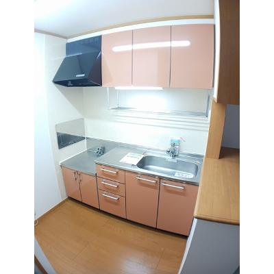 ニューアビテＢ 202【管理NO：1-013415802-02020】 ★家具家電は申し込み後に搬入しますの物件画像