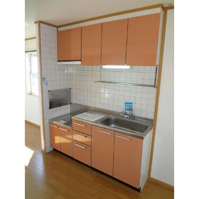 コート・サンモール 201【管理NO：1-012586101-02010】 ★家具家電は申し込み後に搬入しますの物件画像